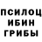 Галлюциногенные грибы GOLDEN TEACHER Brof Ist