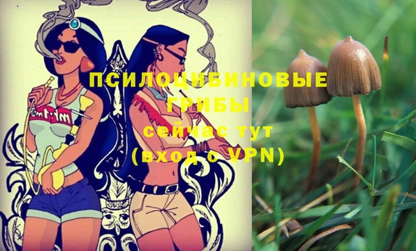 синтетический гашиш Пролетарск