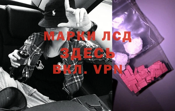 шишки Приозерск