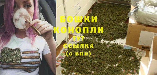 дживик Россошь