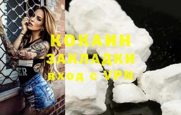шишки Приозерск