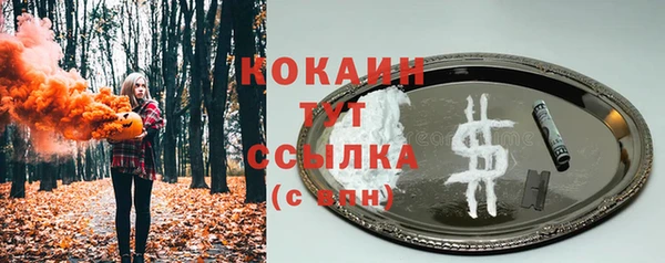шишки Приозерск