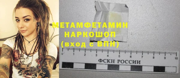 шишки Приозерск