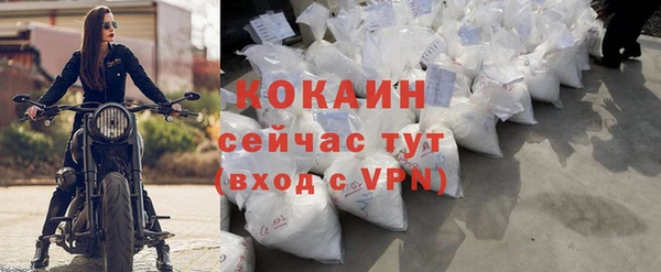 шишки Приозерск