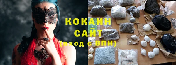шишки Приозерск