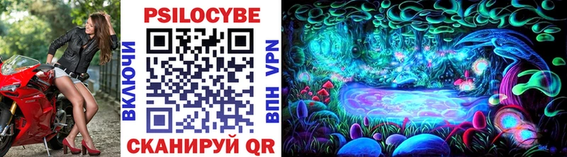 Купить где  Курчалой  Псилоцибиновые грибы мухоморы 